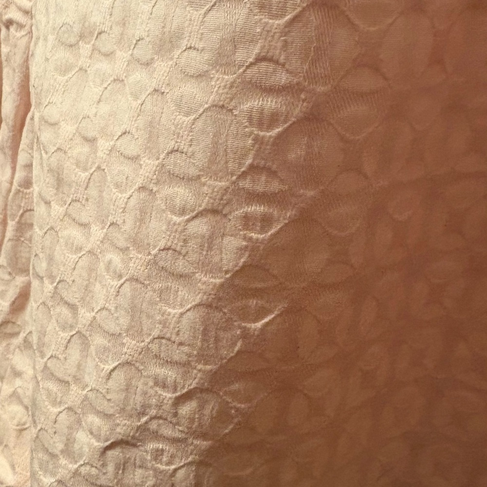 Crown & Ivy Women’s Plus Light Pink Textured Shorts with Scalloped Hem Sz 22W - Picture 3 of 10